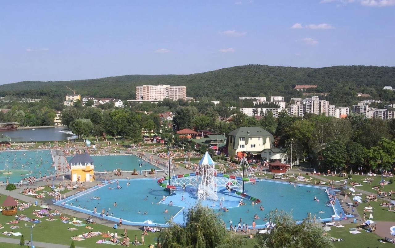 Butterfly Apartment-Hidden Gem In The Heart Of Târgu-Mureş Zewnętrze zdjęcie